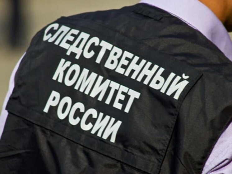 Следком РФ расследует обстоятельства ранения женщины в Макеевке