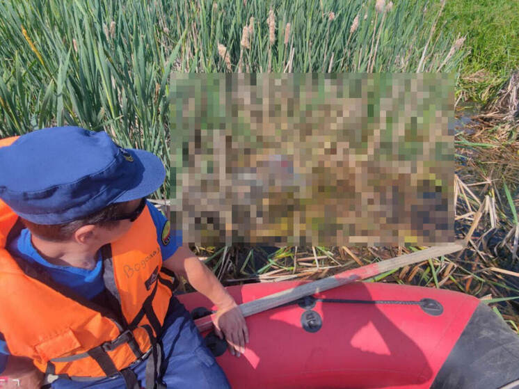 Пенсионерка утонула в Цивильском округе, купаясь в необорудованном месте