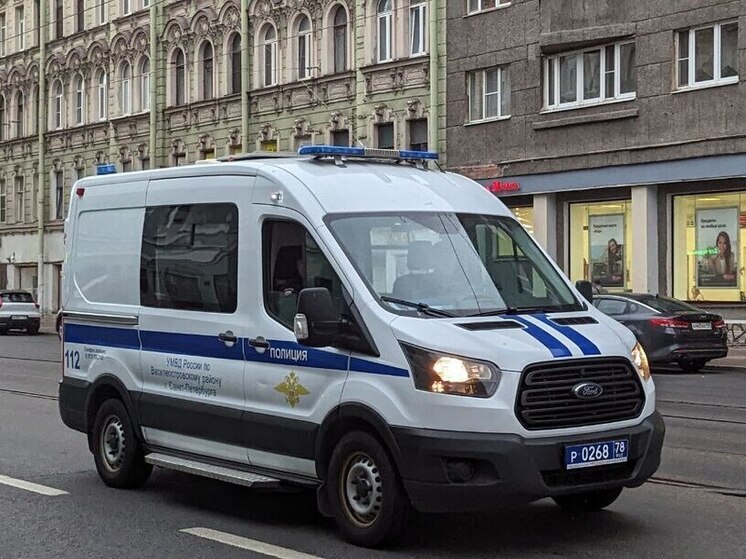 Полиция в Петербурге обеспечила порядок на праздновании Дня России