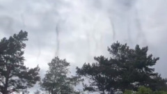 На Байкале в Бурятии наблюдали комариное торнадо 