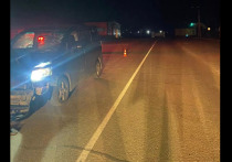 13 июня, примерно в 00:55, в селе Улаган на улице Санаа произошло дорожно-транспортное происшествие с участием автомобиля и пешехода