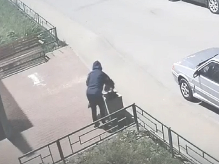 На улице Бирюзова в Рязани женщина украла цветы из вазона и попала на видео