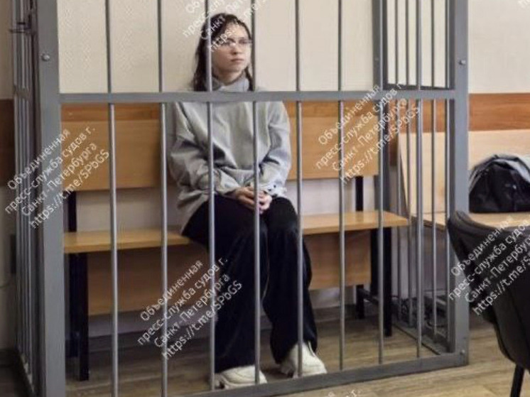 Студентку из Иркутской области заключили под стражу в Петеребурге за мошенничество