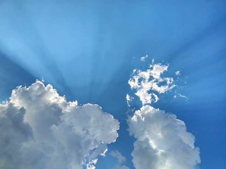 В Ленобласти 14 июня ожидается солнце и до +23 градусов тепла