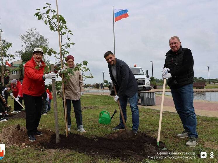 Советск присоединился к акции «Сад памяти»