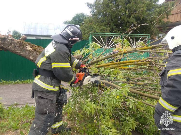 Для ликвидации последствий непогоды в Тверской области понадобилась помощь спасателей