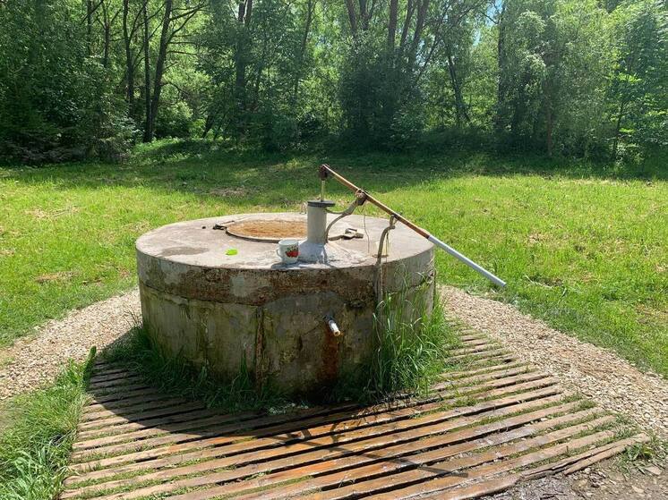 Дачный сезон в Ленобласти: вода под угрозой из-за нерационального использования
