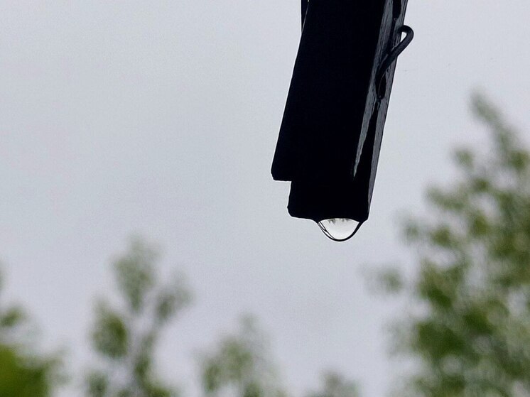 На 14 июня хабаровчанам обещают дождь и не более +27 градусов