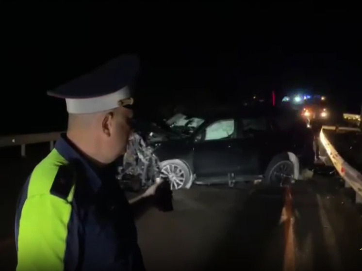 В смертельном ДТП столкнулись иномарки на трассе Приморья