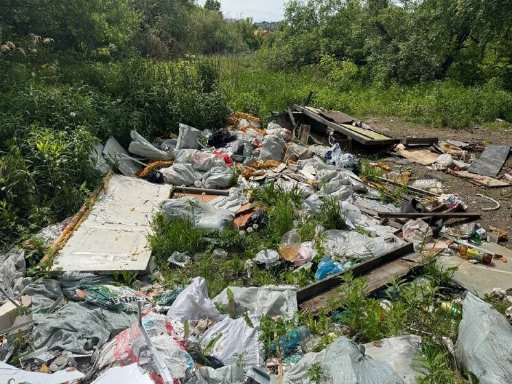 Из природного парка Хабаровска сделали свалку для отходов