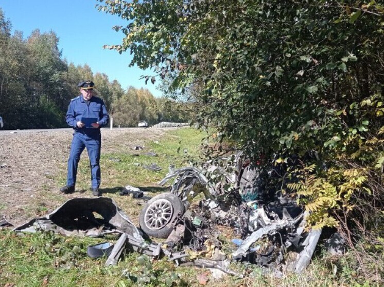 В Амурской области осудят ростовчанина-дальнобойщика за смертельное ДТП