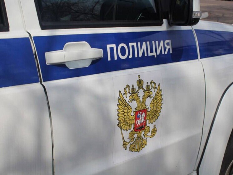 В мусорке Владивостока не нашли нашумевших останков собак