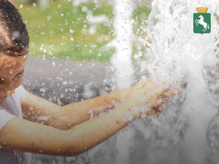 Томичей просят не купаться в фонтанах