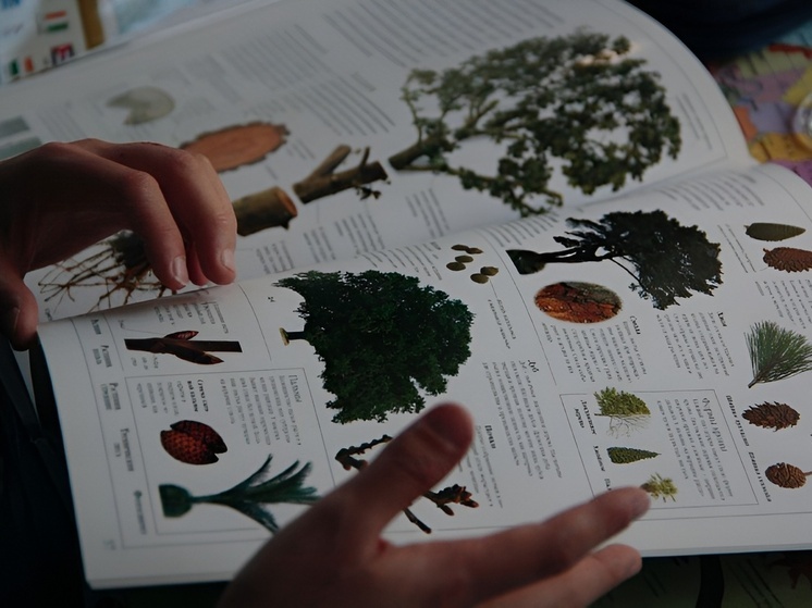 Жителям Хакасии предложили занять ребенка в дороге комиксами и интерактивными книгами