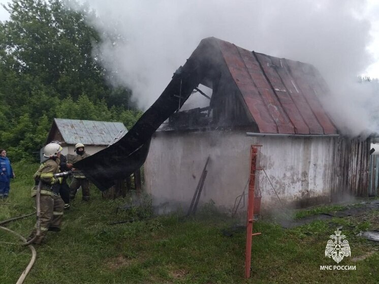 В Новомосковсе сгорело одно из заброшенных строений