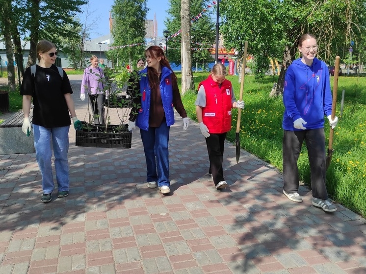 «Комфортное Поморье» преображает Северодвинск: на аллее Молодёжи появились новые деревья