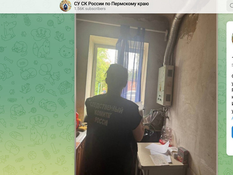 В Перми четверо подростков отравились угарным газом, двое скончались до прибытия скорой