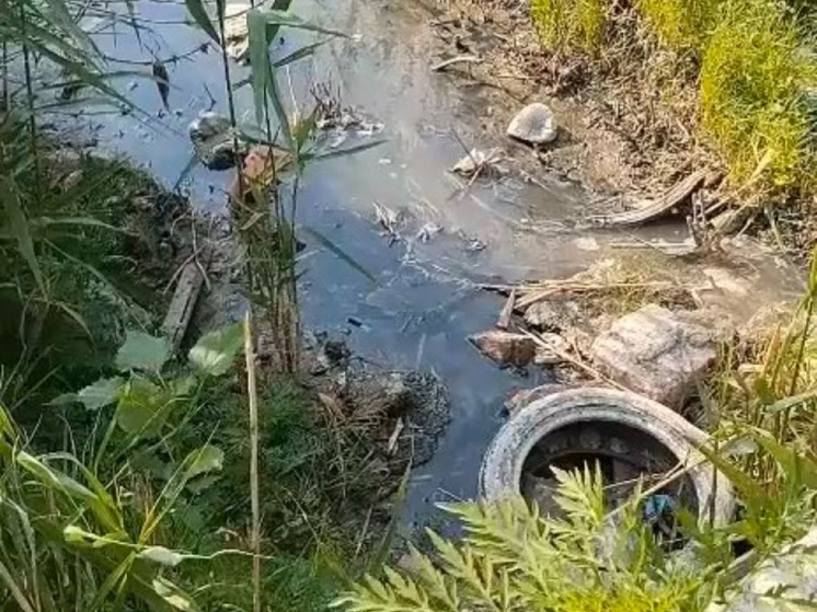 В Ростовской области зафиксировали очередной слив нечистот в ручей Ерик