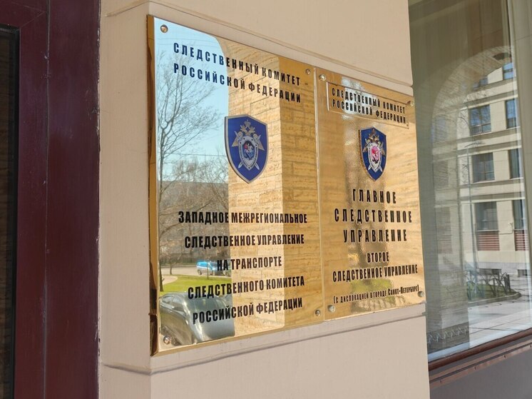 Александр Бастрыкин заинтересовался делом об избиении 13-летнего в Ленобласти