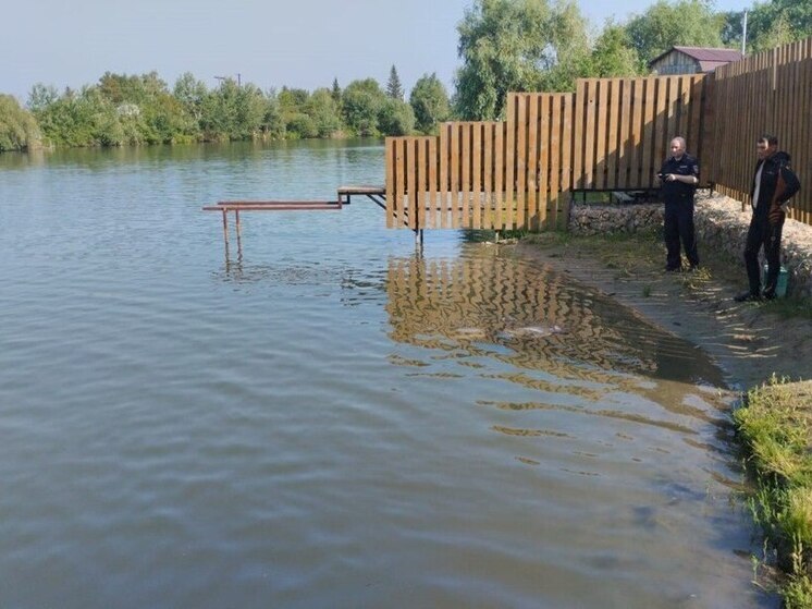 В Рубцовске из реки Алей достали тело утонувшего молодого человека