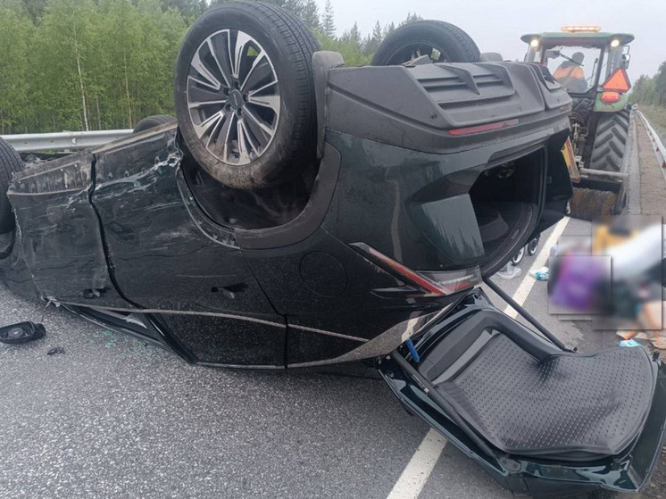 В Кандалакшском районе произошло массовое ДТП из-за превышения скорости