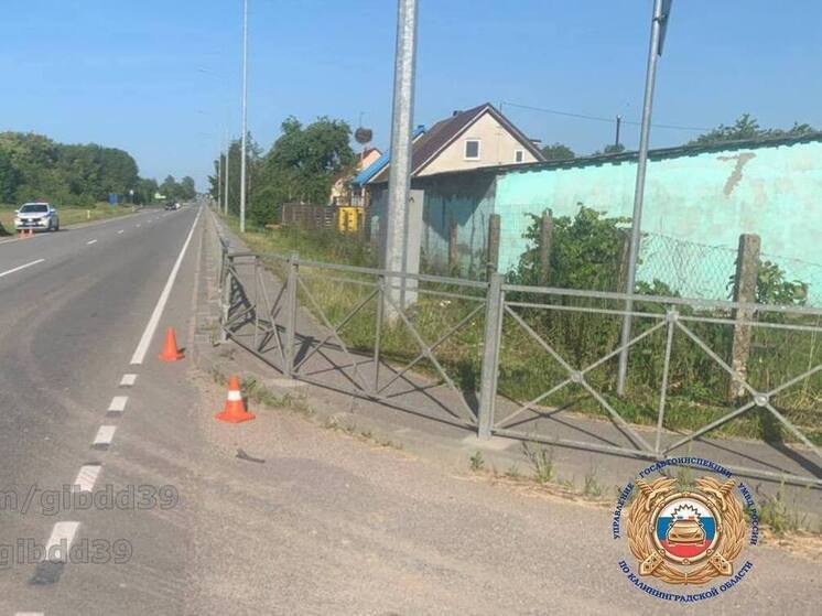 Сотрудники калининградской Госавтоинспекции выясняют причины ДТП с питбайком