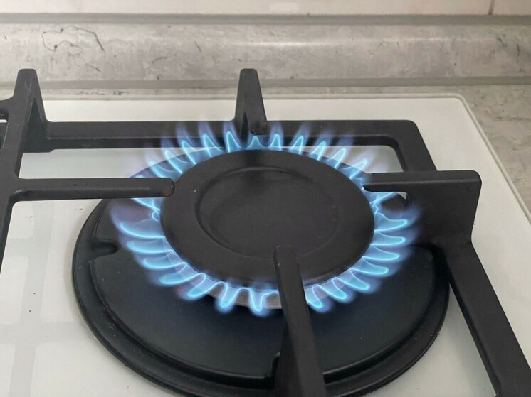 Под Рязанью два населённых пункта остались без газа из-за попадания в газопровод