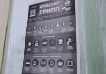 Региональное управление Роспотребнадзора выпустило свежий обзор эпидемиологической ситуации
Согласно данным ведомства, заболеваемость гриппом и острыми респираторными вирусными инфекциями в Челябинской области остаётся неэпидемической