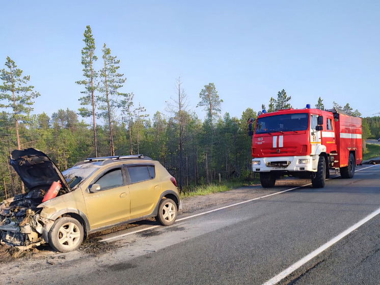 В Полярнозоринском районе ДТП с лосем привело к возгоранию автомобиля