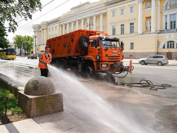 Мелкие недочёты в уборке Петербурга зафиксировали при подготовке к ПМЭФ