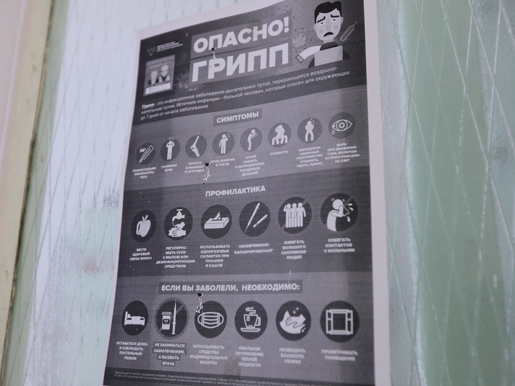 Региональное управление Роспотребнадзора выпустило свежий обзор эпидемиологической ситуации
Согласно данным ведомства, заболеваемость гриппом и острыми респираторными вирусными инфекциями в Челябинской области остаётся неэпидемической