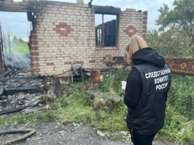 Следователи выясняют обстоятельства гибели новгородки на пожаре