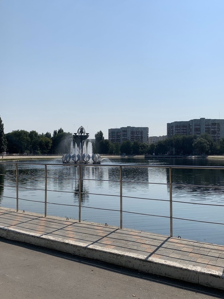 Биолог: озеро в парке Металлургов в Самаре заболотилось из-за водорослей и птиц