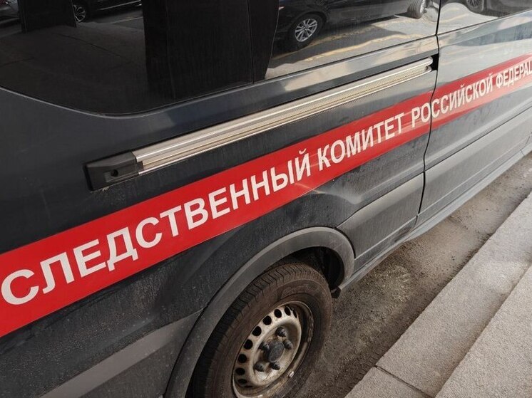 Следователи проверят отравление юного петербуржца хозяйственными средствами