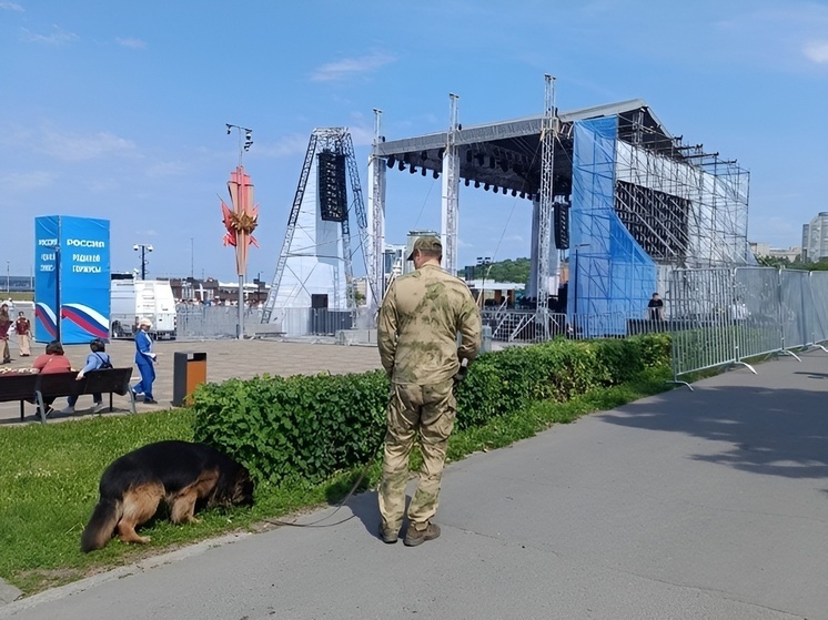 Росгвардейцы обеспечили безопасность на Дне России в Чебоксарах