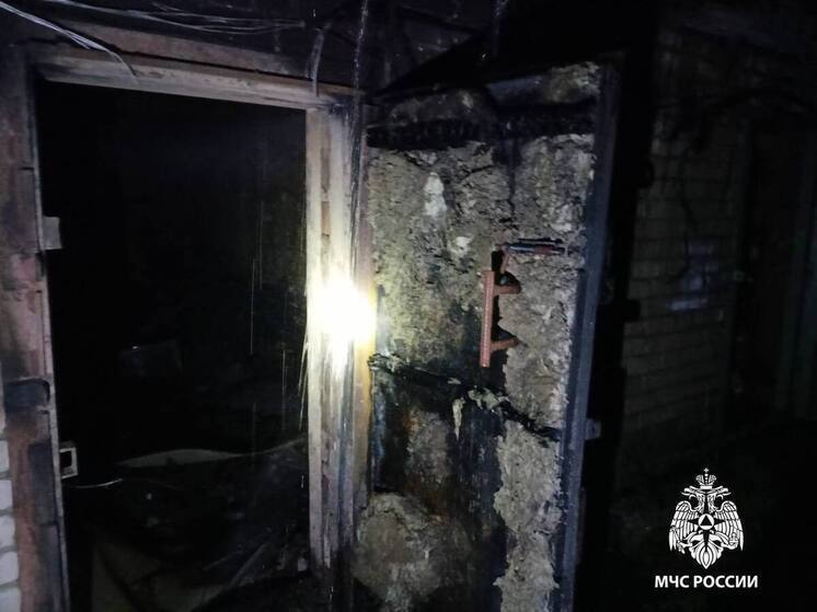 МЧС: Шесть пожаров ликвидировано в Рязанской области за сутки
