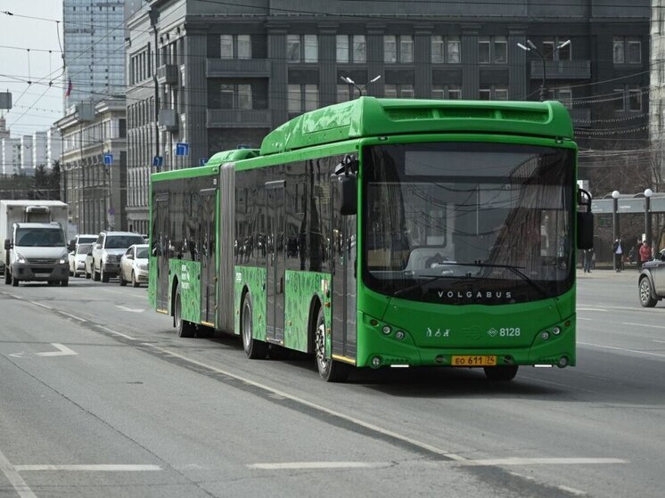 Челябинцам озвучили правила перевозки животных в автобусах