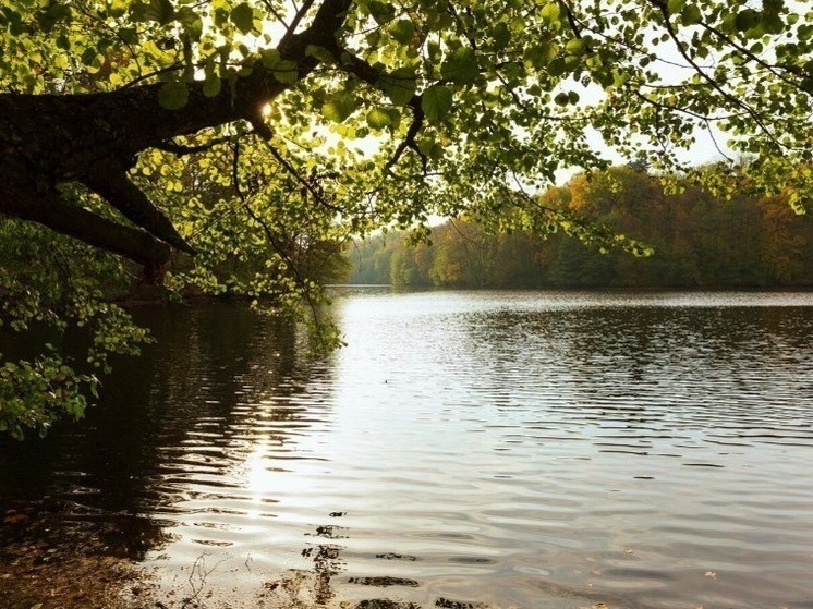 В Томи утонула женщина недалеко от Лагерного сада