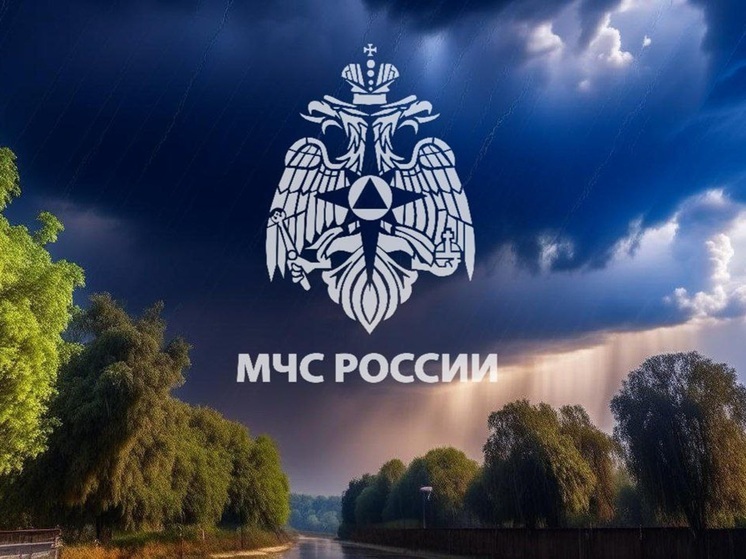 В ближайшие часы в Тульской области возможны грозы