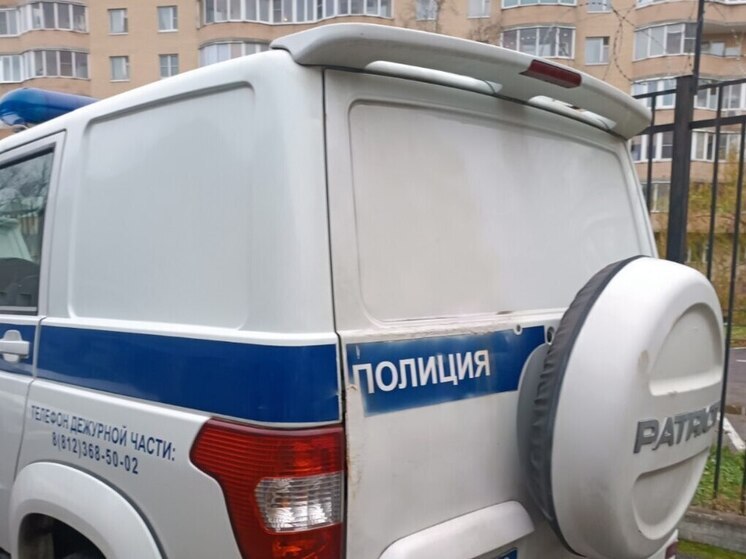 Полиция нашла одного из «отжавших» телефон у прохожего в Мурино