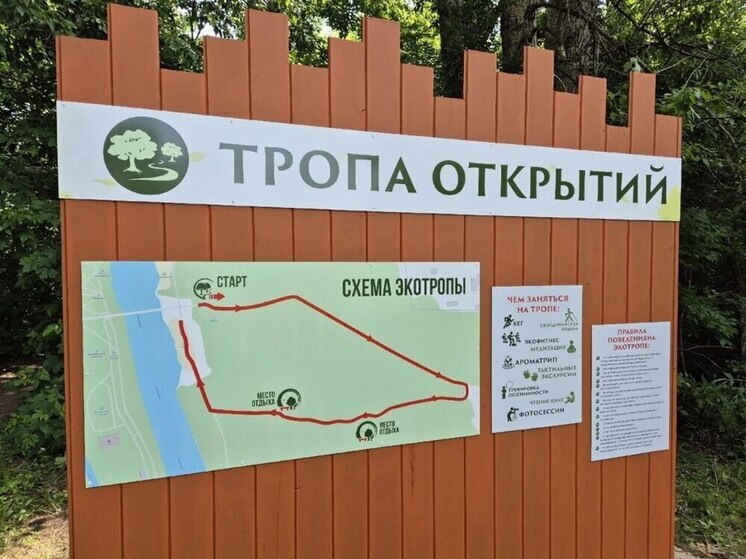 Новая экотропа украсила берег Лесного Воронца в Мичуринске Тамбовской области