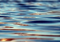 Пассажиры катера, двигавшегося по Чиркейскому водохранилищу в Дагестане, выпали за борт, рассказало Западное межрегиональное следственное управление на транспорте СК России