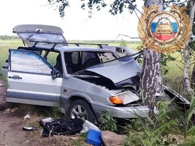 В ДТП в Вольском районе погибла пассажирка и пострадали две девочки