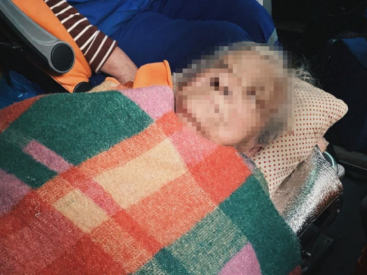 Пропавшую 89-летнюю рязанку нашли живой в заброшенных садах