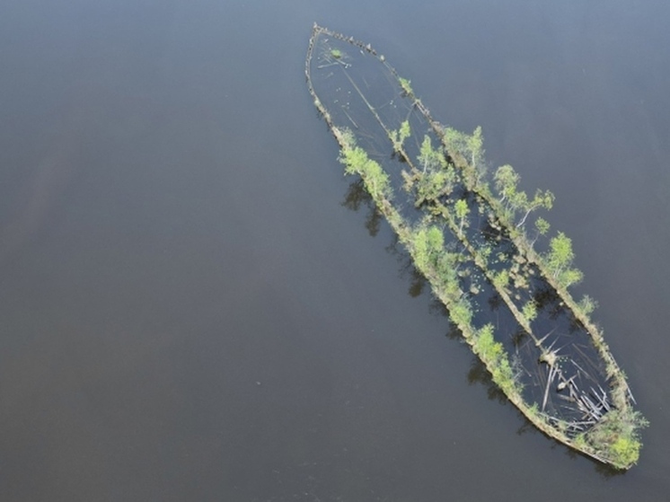 Свой плавучий лес появился в Карелии