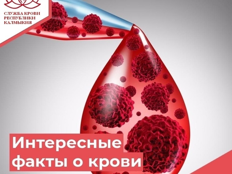 Жителям Калмыкии рассказали, сколько «живет» кровь