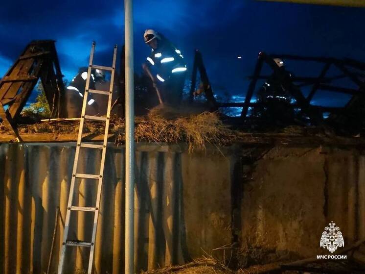 Сарай загорелся в селе Овчинниково Валуйского округа