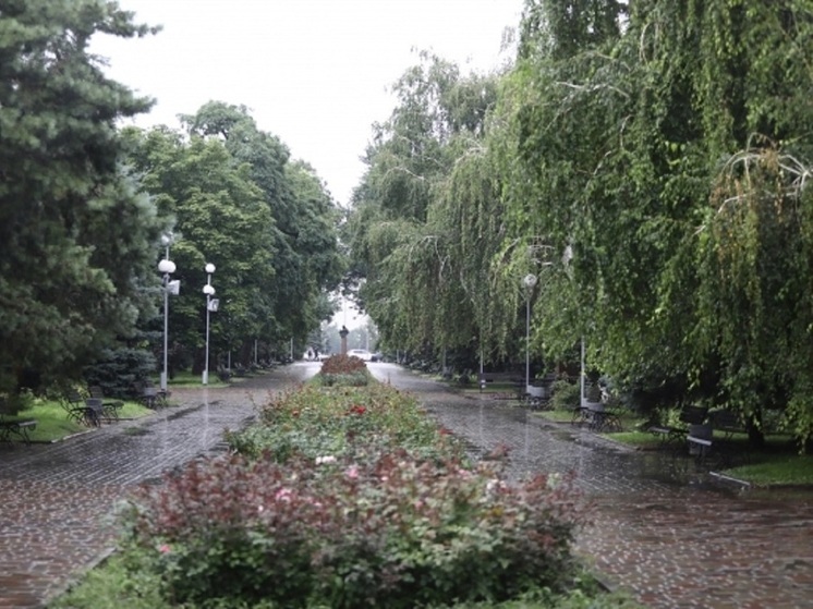 Мощный ветер и дождь с грозой накроют Волгоградскую область в середине июня