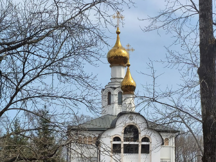 В Биробиджане перекроют улицы из-за шествия со списком иконы (+12)