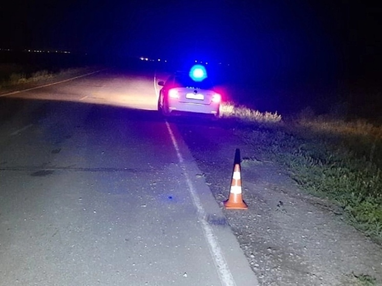 В Хакасии лошадь вновь стала причиной аварии